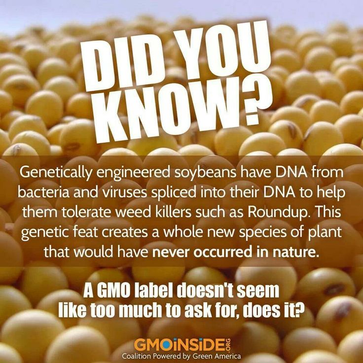 GMO_Soybean-info