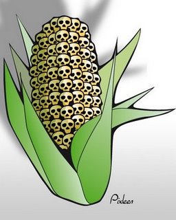 GMO-kernels