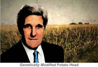 GMO_Potato_Head