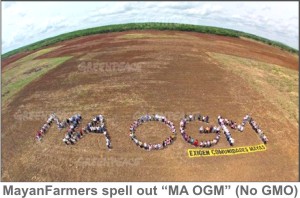MA_OGM
